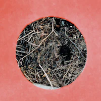 a hole in a red piece of paper