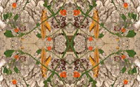 a pattern of flowers and leaves on a brown background