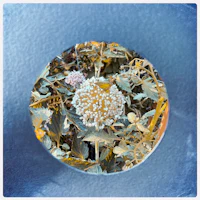 a flower in a glass container
